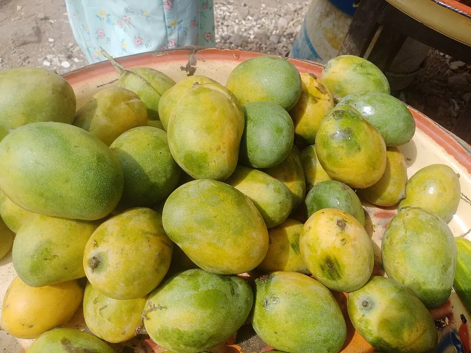 المانجو